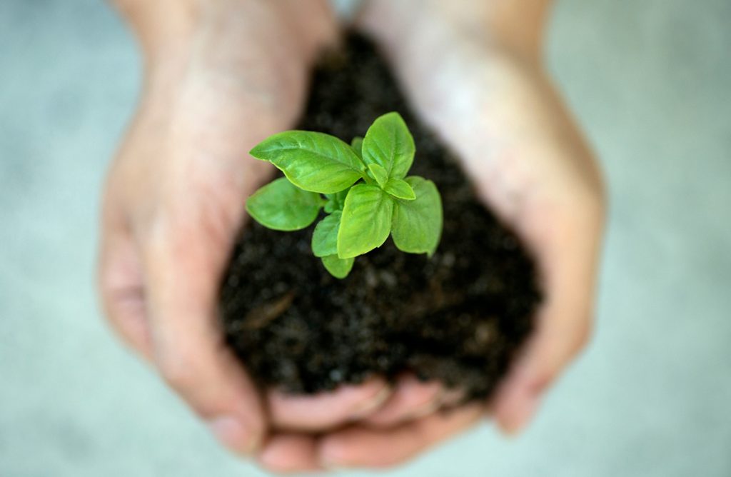 ECP - ESG Policy