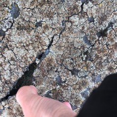 Roofing ECP - Oakgrove School - Roofing Project