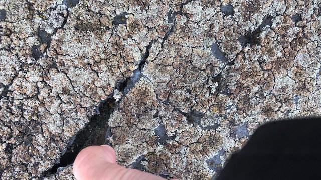 Roofing ECP - Oakgrove School - Roofing Project