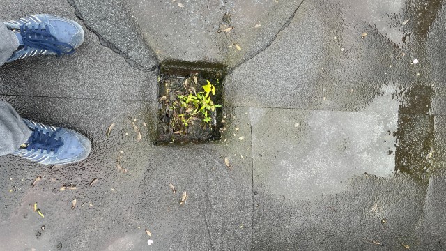 Flat Roof Replacement Roof Refurbishment & Ventilation Canopy Upgrade